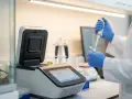 Laborant w rękawiczkach pobiera próbkę pipetą do urządzenia laboratoryjnego.