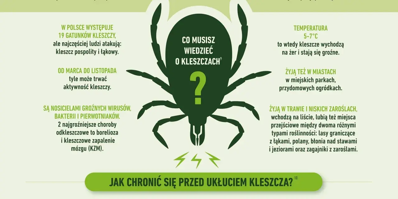 Grafika informuje o kleszczach, ich aktywności i zagrożeniach. Warto rozważyć szczepionkę na kleszcze, by uniknąć chorób.