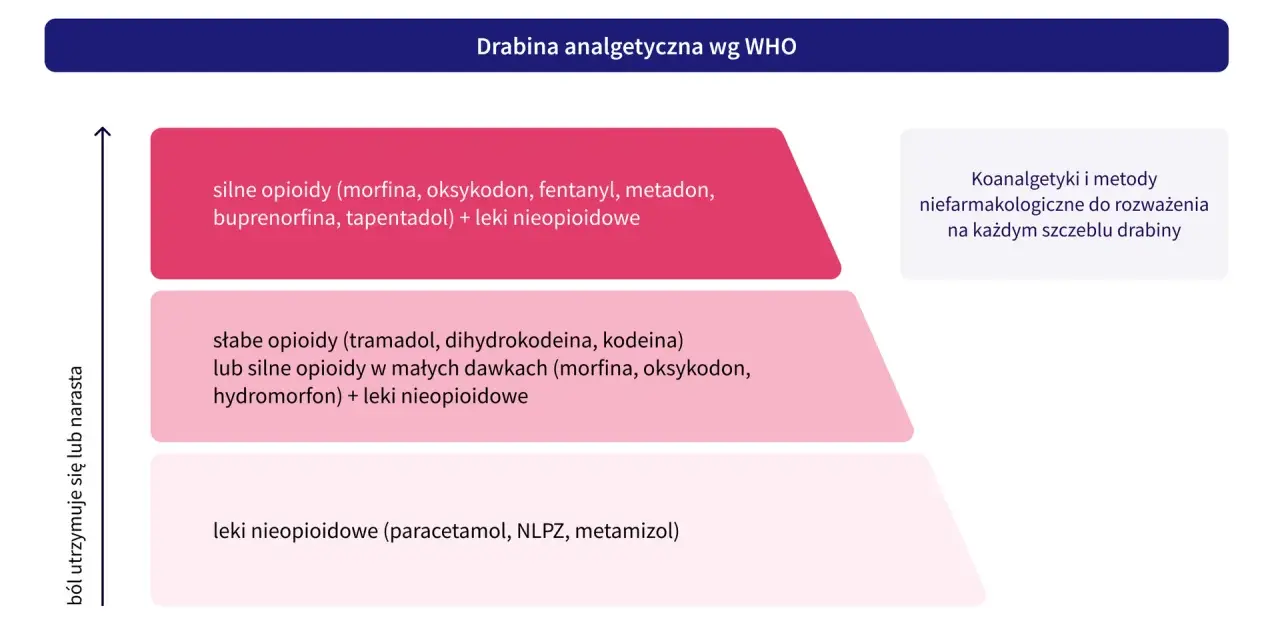 Drabina analgetyczna WHO: silne i słabe leki opioidowe (morfina, oksykodon, tramadol) oraz nieopioidowe (paracetamol) stosowane w leczeniu bólu.