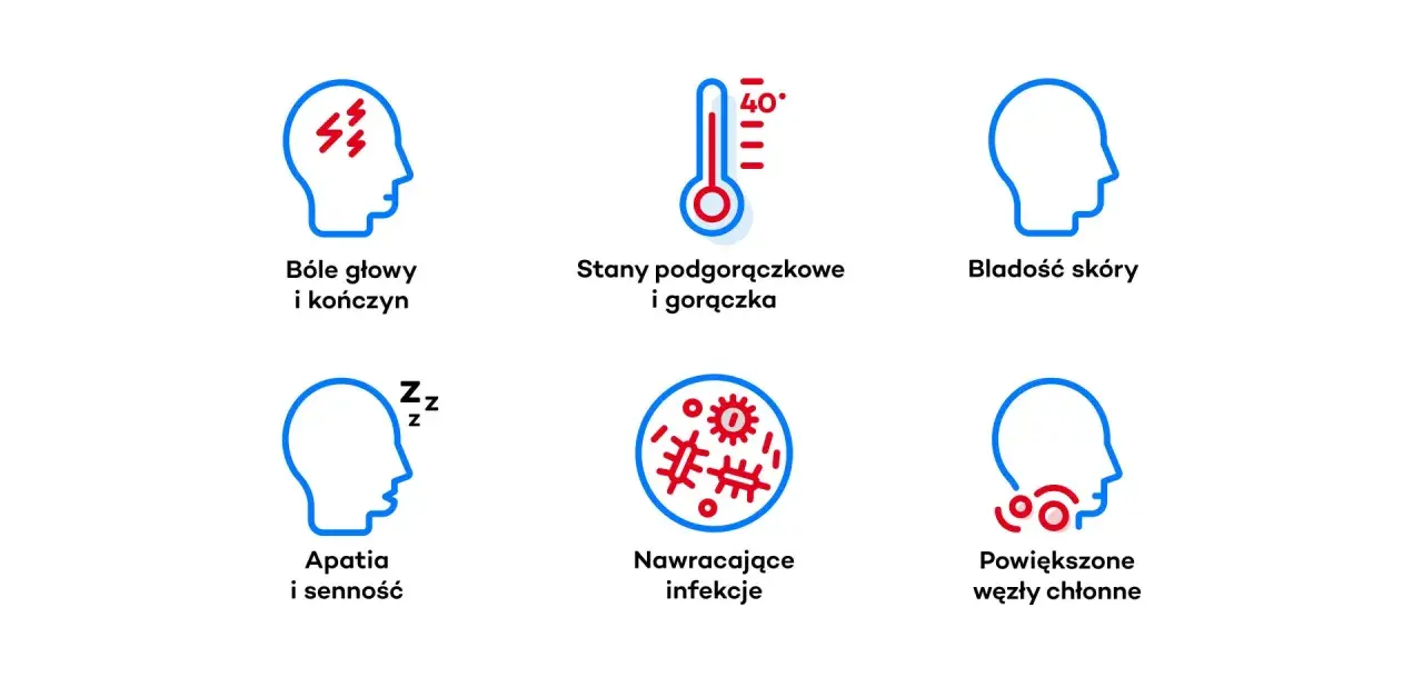Białaczka szpikowa objawy: bóle głowy, gorączka, bladość, apatia, nawracające infekcje, powiększone węzły chłonne.