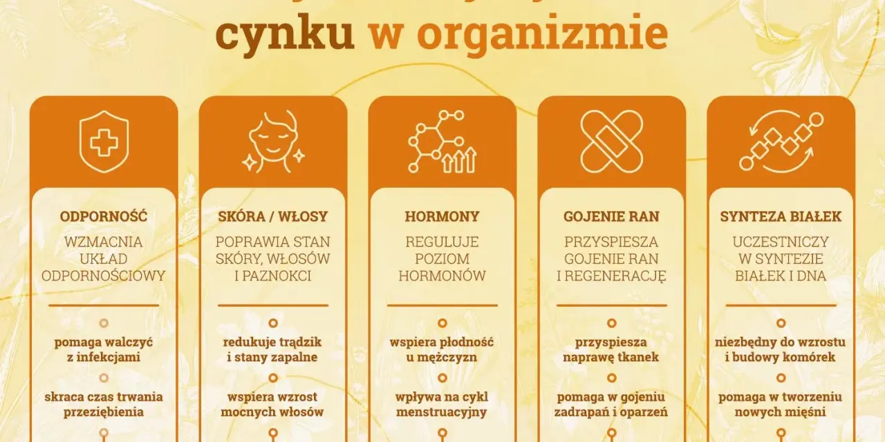 Grafika przedstawia 5 kluczowych ról cynku w organizmie: odporność, zdrowie skóry i włosów, regulację hormonów, gojenie ran i syntezę białek. Niedobór cynku objawy mogą być różnorodne.