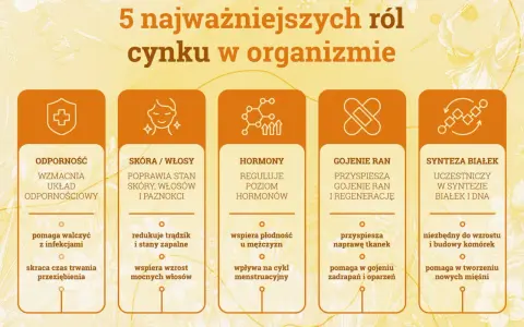 Grafika przedstawia 5 kluczowych ról cynku w organizmie: odporność, zdrowie skóry i włosów, regulację hormonów, gojenie ran i syntezę białek. Niedobór cynku objawy mogą być różnorodne.